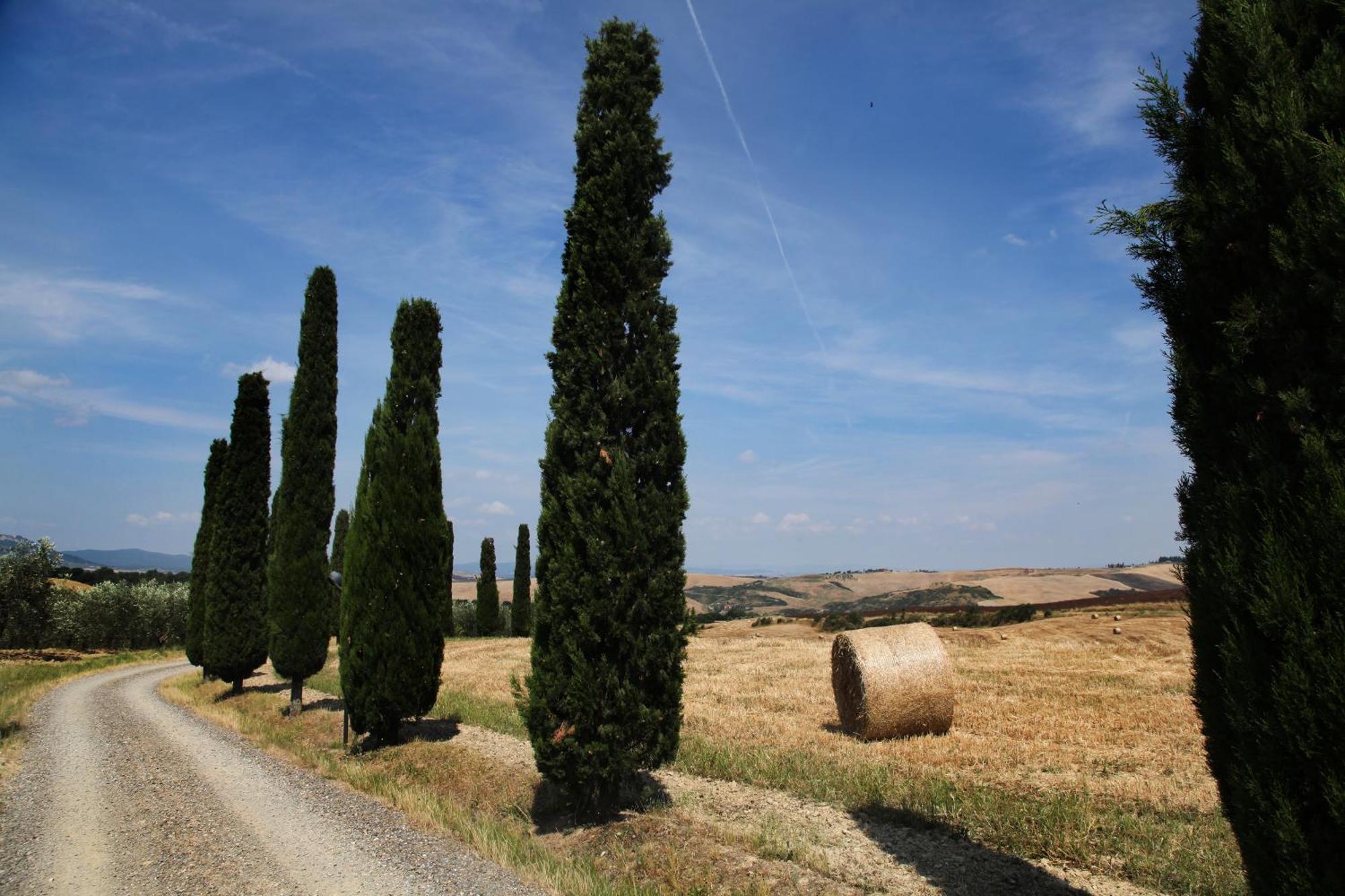 Agriturismo Bagnaia San Quirico d'Orcia Exterior photo