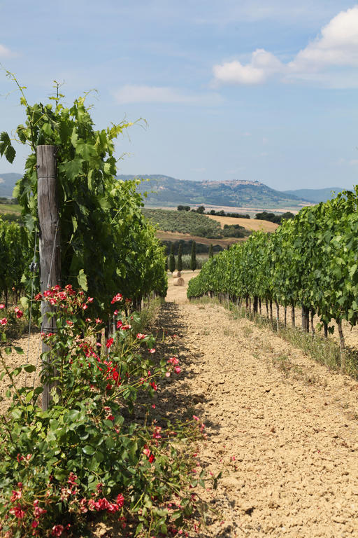 Agriturismo Bagnaia San Quirico d'Orcia Exterior photo