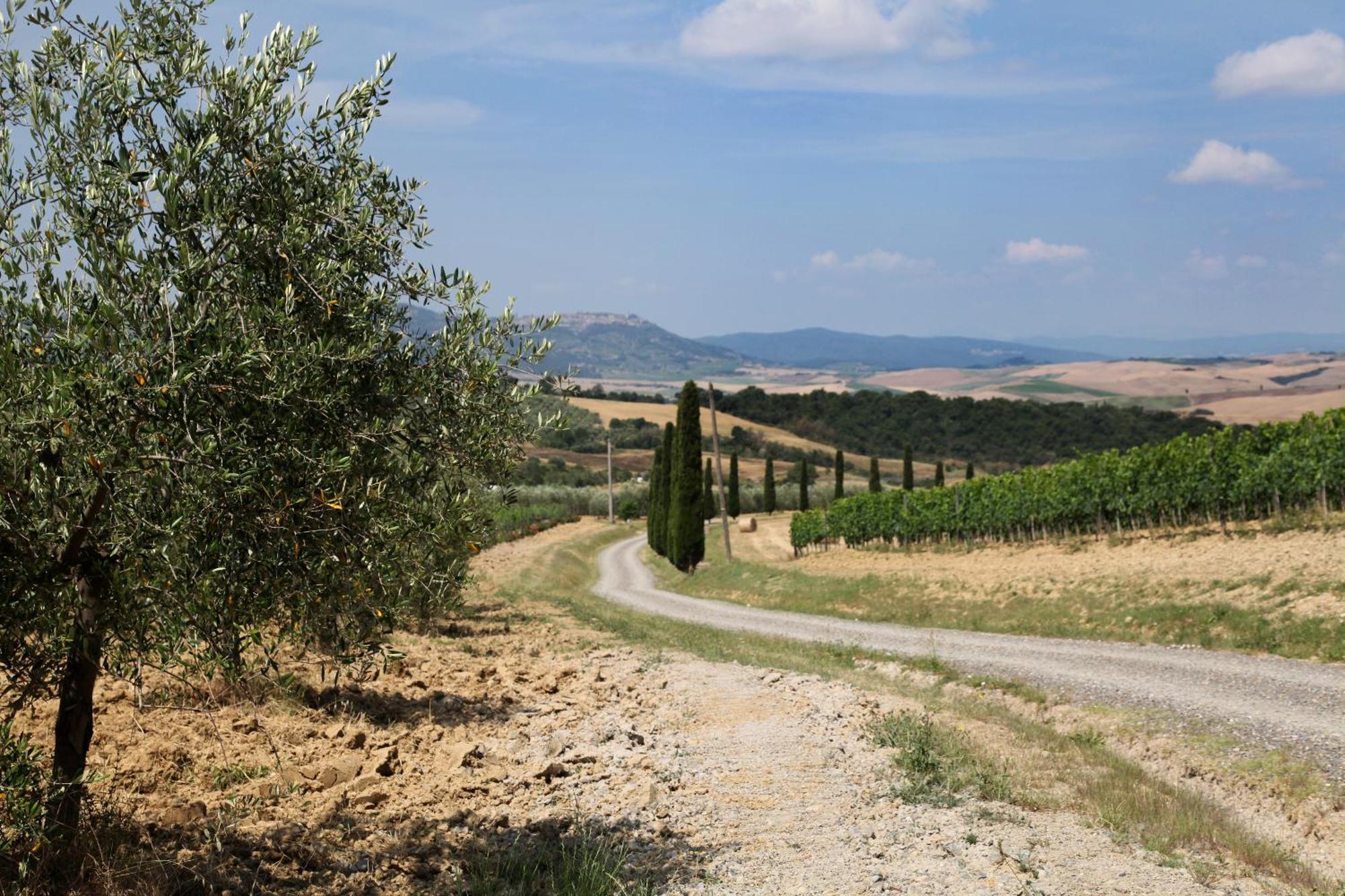 Agriturismo Bagnaia San Quirico d'Orcia Exterior photo